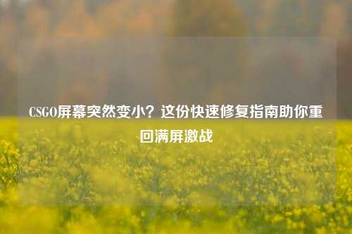 CSGO屏幕突然变小?这份快速修复指南助你重回满屏激战