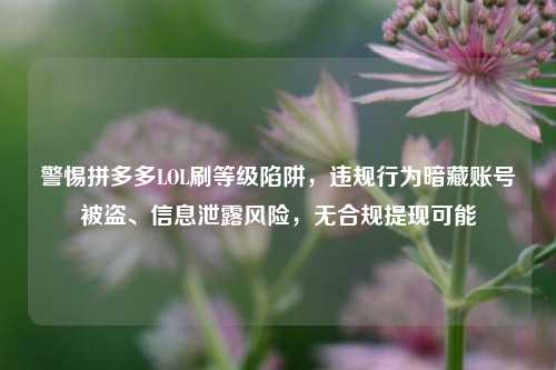 警惕拼多多LOL刷等级陷阱,违规行为暗藏账号被盗、信息泄露风险,无合规提现可能