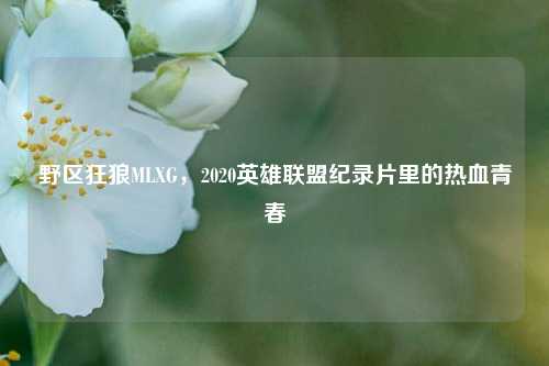 野区狂狼MLXG,2020英雄联盟纪录片里的热血青春