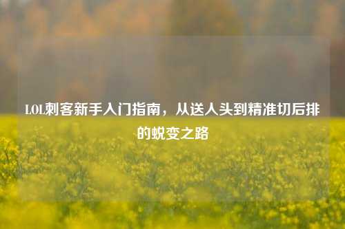 LOL刺客新手入门指南,从送人头到精准切后排的蜕变之路