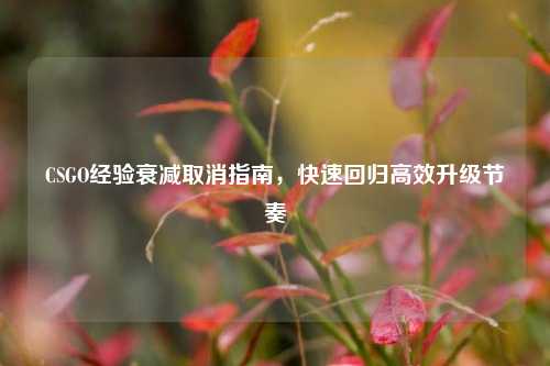 CSGO经验衰减取消指南,快速回归高效升级节奏