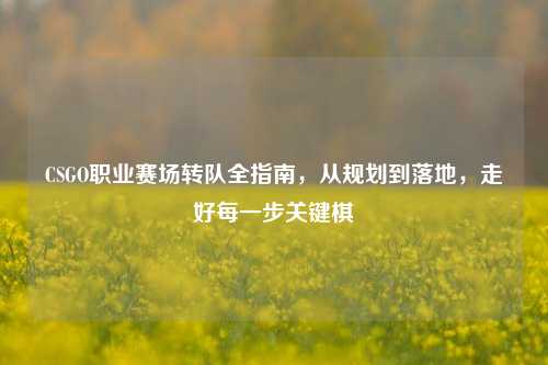 CSGO职业赛场转队全指南,从规划到落地,走好每一步关键棋
