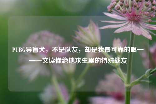 PUBG导盲犬,不是队友,却是我最可靠的眼——一文读懂绝地求生里的特殊战友