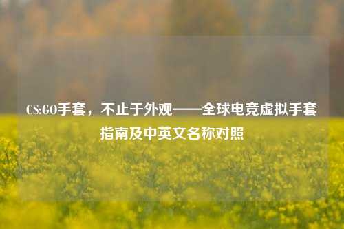 CS:GO手套,不止于外观——全球电竞虚拟手套指南及中英文名称对照