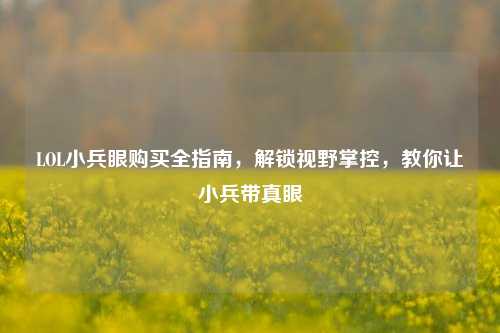 LOL小兵眼购买全指南,解锁视野掌控,教你让小兵带真眼