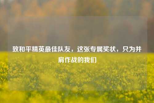 致和平精英更佳队友,这张专属奖状,只为并肩作战的我们