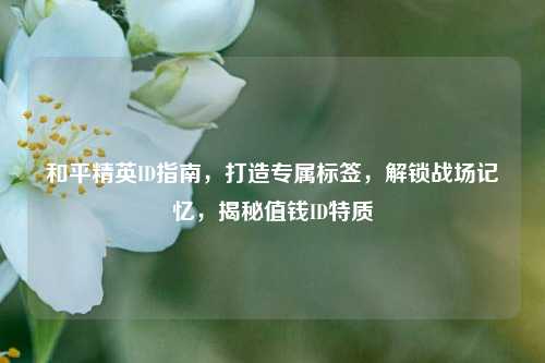 和平精英ID指南,打造专属标签,解锁战场记忆,揭秘值钱ID特质