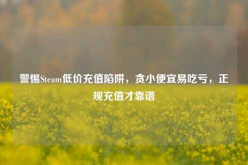 警惕Steam低价充值陷阱,贪小便宜易吃亏,正规充值才靠谱