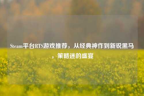 Steam平台RTS游戏推荐,从经典神作到新锐黑马,策略迷的盛宴