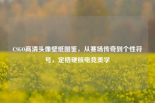 CSGO高清头像壁纸图鉴,从赛场传奇到个性符号,定格硬核电竞美学