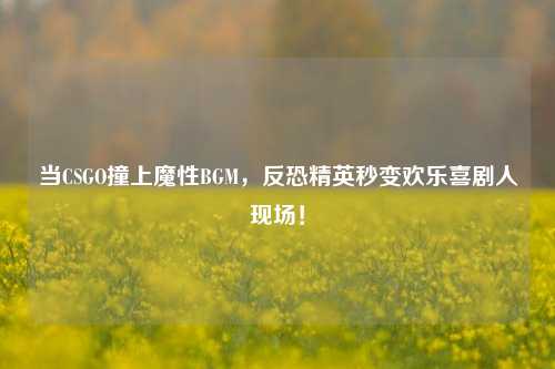 当CSGO撞上魔性BGM,反恐精英秒变欢乐喜剧人现场!