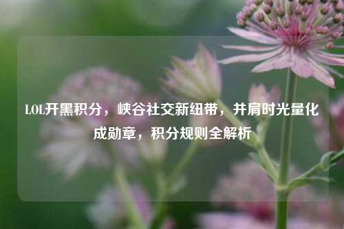 LOL开黑积分,峡谷社交新纽带,并肩时光量化成勋章,积分规则全解析