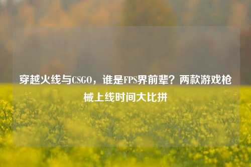穿越火线与CSGO,谁是FPS界前辈?两款游戏枪械上线时间大比拼