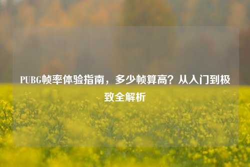 PUBG帧率体验指南,多少帧算高?从入门到极致全解析