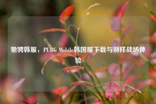 驰骋韩服,PUBG Mobile韩国服下载与别样战场体验