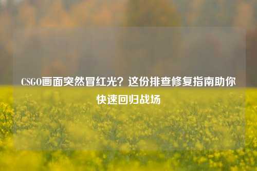 CSGO画面突然冒红光?这份排查修复指南助你快速回归战场