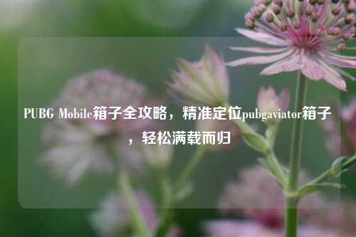 PUBG Mobile箱子全攻略,精准定位pubgaviator箱子,轻松满载而归