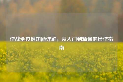 逆战全按键功能详解，从入门到精通的操作指南