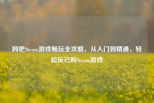 网吧Steam游戏畅玩全攻略,从入门到精通,轻松玩已购Steam游戏