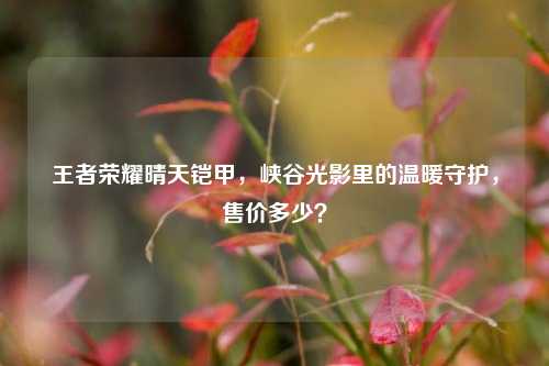 王者荣耀晴天铠甲,峡谷光影里的温暖守护,售价多少?
