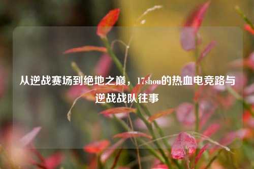 从逆战赛场到绝地之巅,17shou的热血电竞路与逆战战队往事