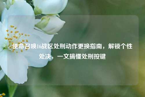 使命召唤16战区处刑动作更换指南,解锁个性处决,一文搞懂处刑按键