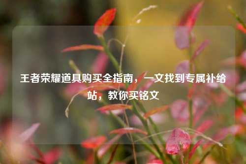 王者荣耀道具购买全指南,一文找到专属补给站,教你买铭文