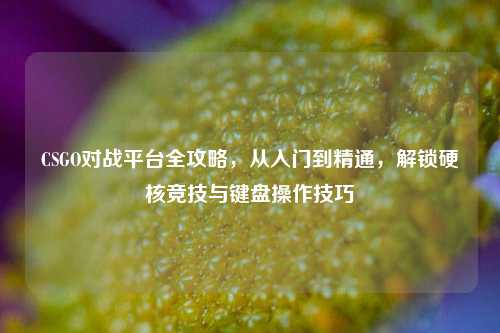 CSGO对战平台全攻略,从入门到精通,解锁硬核竞技与键盘操作技巧