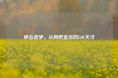 峡谷逐梦,从网吧走出的LOL天才
