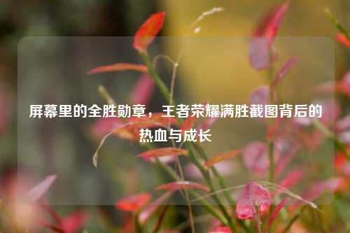 屏幕里的全胜勋章,王者荣耀满胜截图背后的热血与成长
