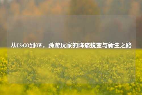 从CS:GO到OW,跨游玩家的阵痛蜕变与新生之路