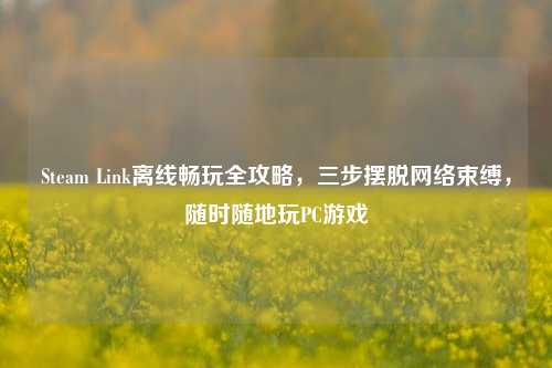 Steam Link离线畅玩全攻略,三步摆脱 束缚,随时随地玩PC游戏