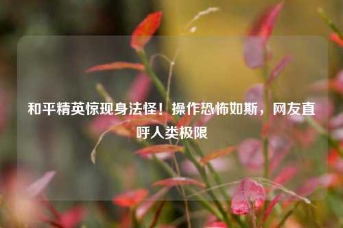 和平精英惊现身法怪!操作恐怖如斯,网友直呼人类极限