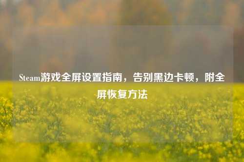 Steam游戏全屏设置指南,告别黑边卡顿,附全屏恢复方法
