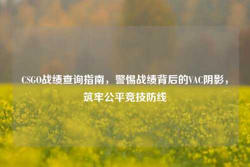 CSGO战绩查询指南,警惕战绩背后的VAC阴影,筑牢公平竞技防线